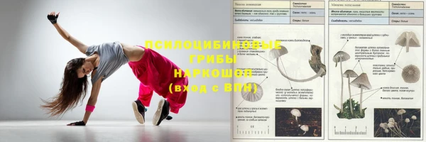 стаф Магадан
