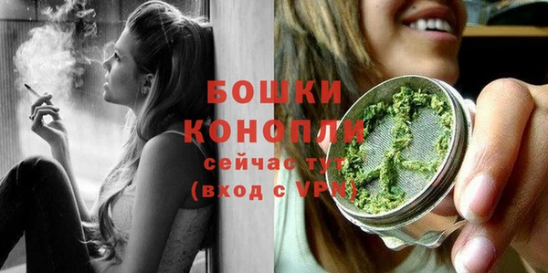 стаф Магадан