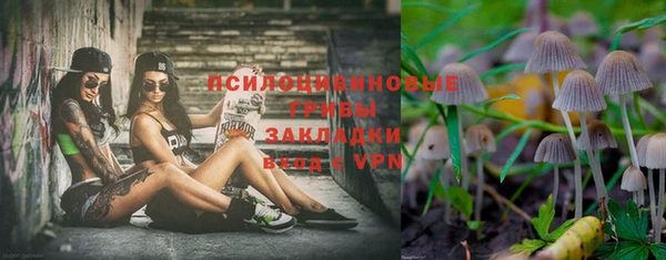 спиды Лабытнанги